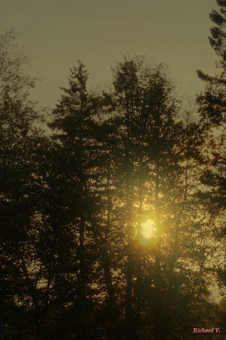 Coucher de soleil dans les arbres Saint-Georges, QC