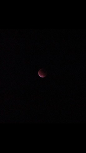 Supermoon Lunar Eclipse Hamilton, ON