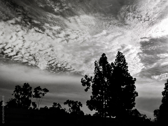Noir Clouds San Diego, CA, United States