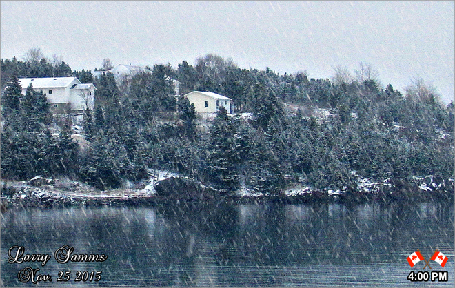 "A Snowy Afternoon" Springdale, Newfoundland and Labrador