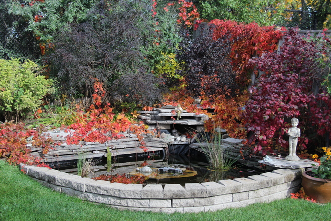 Garden Pond Brampton, ON