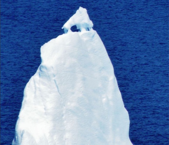 Dog Iceberg St. John's, NL