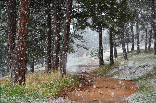 Spring Snow in Colorado Boulder, CO, United States