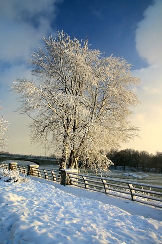 Frozen world of this Winter. Niagara Falls, NY, United States