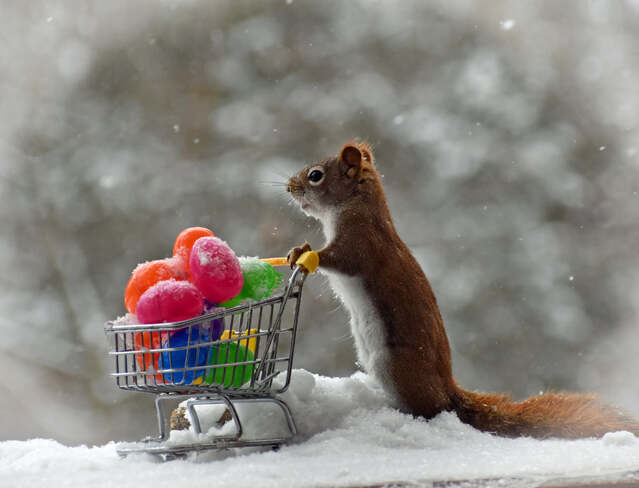 Easter shopping for Reddie Cobourg, ON