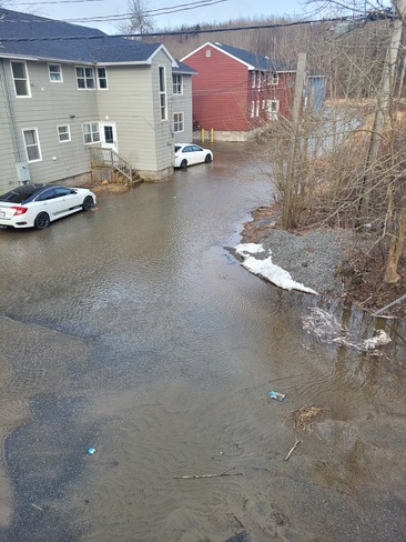 Back Yard Flooding (taken March 24th-Maclaren blvd)Theresa Williams Saint John, NB