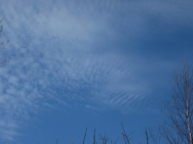 mackerel sky 