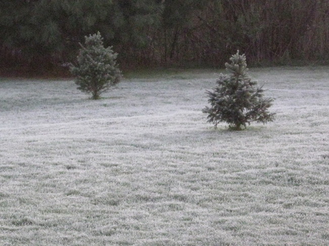 heavy frost Antigonish, Nova Scotia Canada