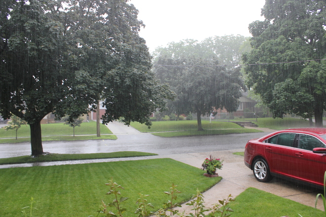 That's a lot of rain! Kitchener, Ontario Canada