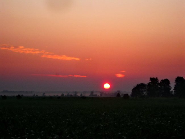 Early Morning Sunrise Over Corn Fields Hinchinbrooke, Quebec Canada
