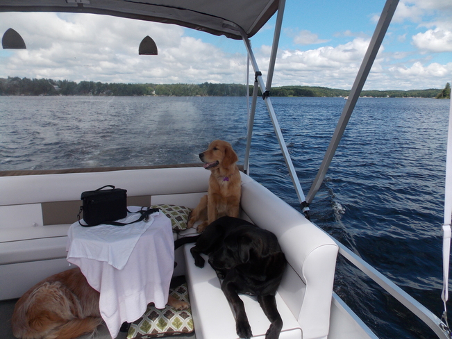 Boat Ride Innisfil, Ontario Canada