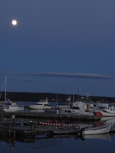Marina moonlight! Lewisporte, Newfoundland and Labrador Canada