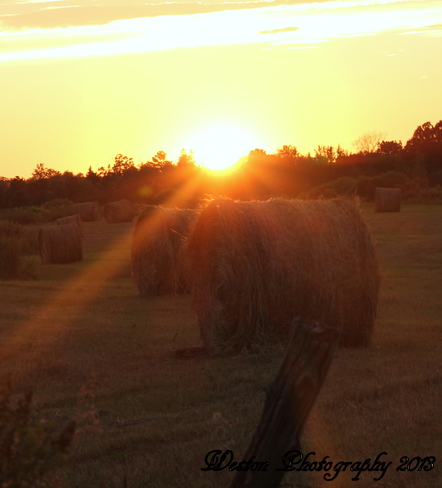 Sunset in freshly cut field of hay Quyon, Quebec Canada