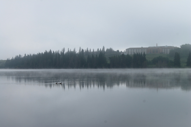 Foggy Morning in Lacombe Lacombe, Alberta Canada