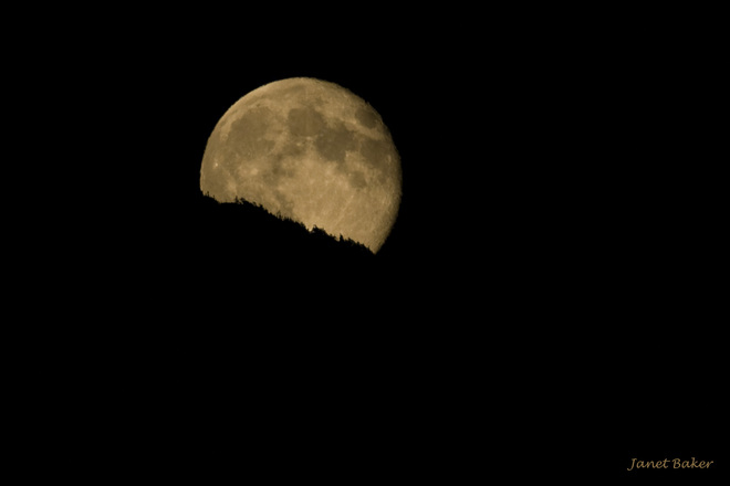 Full moon Sayward, British Columbia Canada