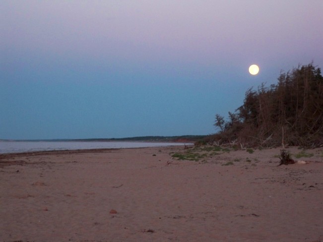 Moonlight on Rustico beach Rusticoville, Prince Edward Island Canada