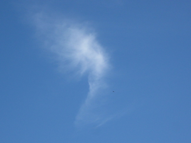angel cloud? Surrey, British Columbia Canada
