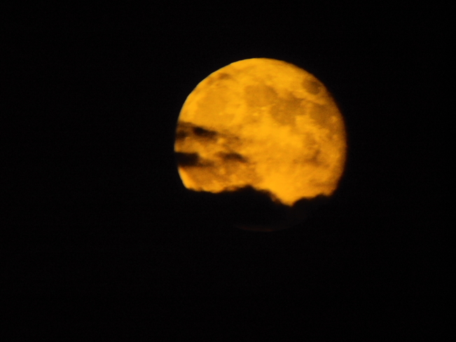 moon rise Aylmer, Ontario Canada