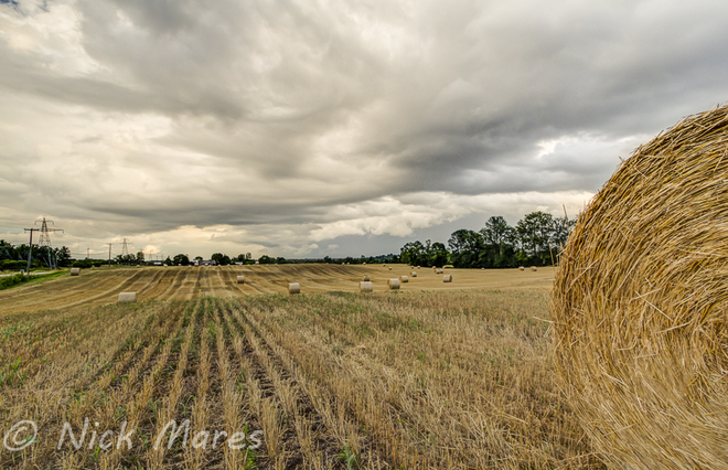 hay field Guelph, Ontario Canada