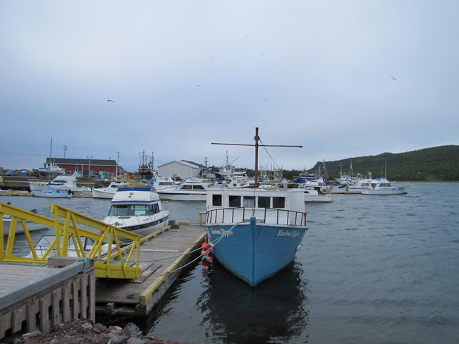 Boats off NL Norman's Cove-Long Cove, Newfoundland and Labrador Canada