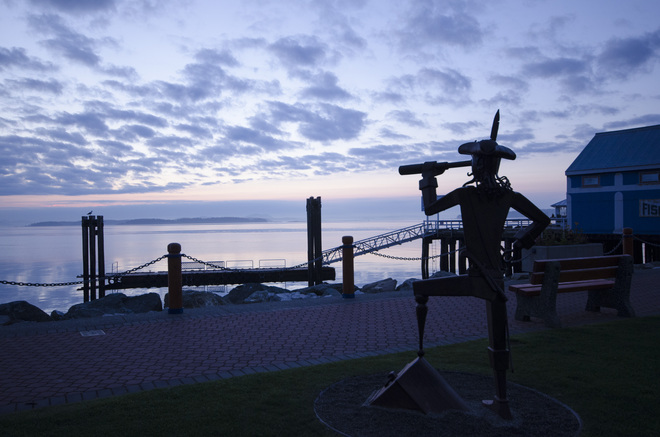 'Captain Hook" watches the dawn approach Sidney, British Columbia Canada