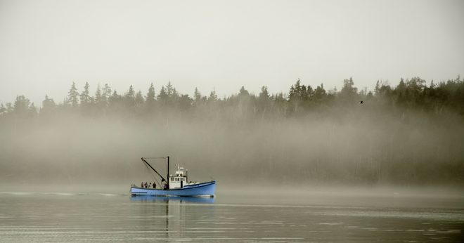 See in the Fog Dartmouth, Nova Scotia Canada