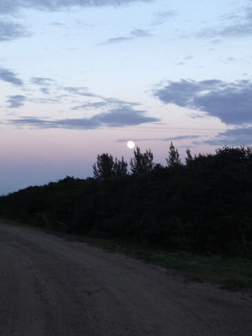 Moon Shine Martensville, Saskatchewan Canada