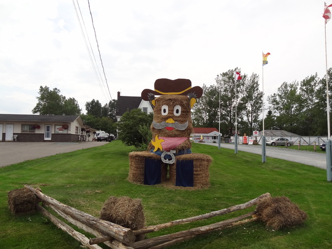 Willie the cowboy Bathurst, New Brunswick Canada
