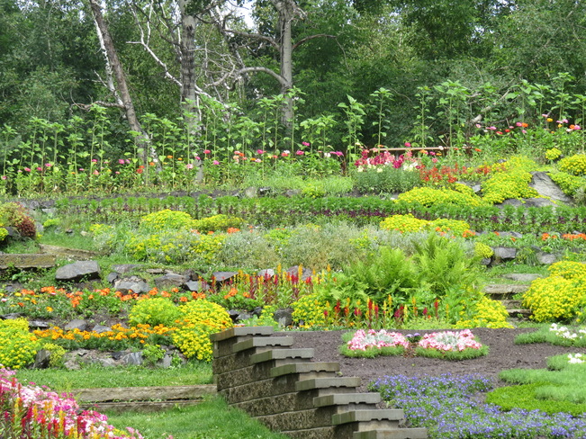 Bell Park Flower Garden Sudbury, Ontario Canada