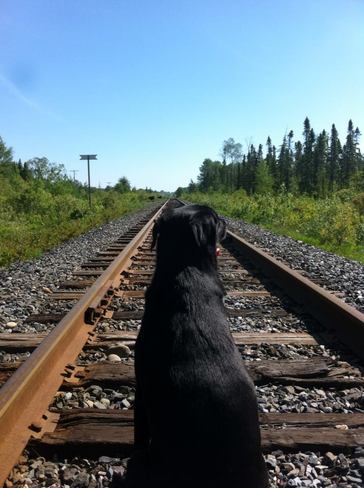 Waiting for the train Hoyle, Ontario Canada