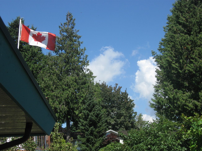 clouds & greenery Surrey, British Columbia Canada