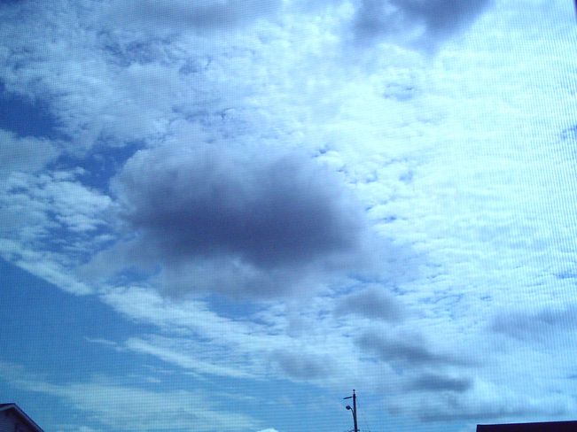 Fuzzy Clouds Halifax, Nova Scotia Canada