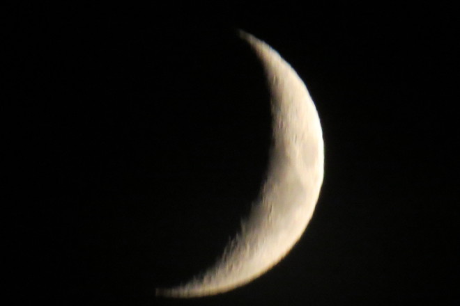 Waxing Crescent Moon Chester, Nova Scotia Canada