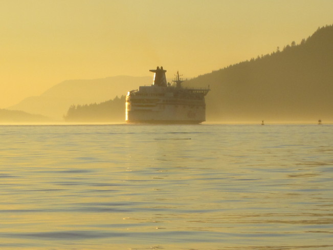 Ferry in evening fog Piers Island, British Columbia Canada
