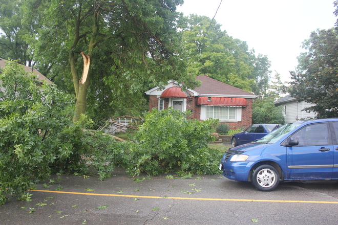 tree branch smashes van windshield Cambridge, Ontario Canada