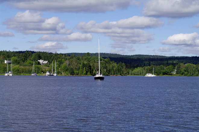 Sail Boats the river Saint John, New Brunswick Canada