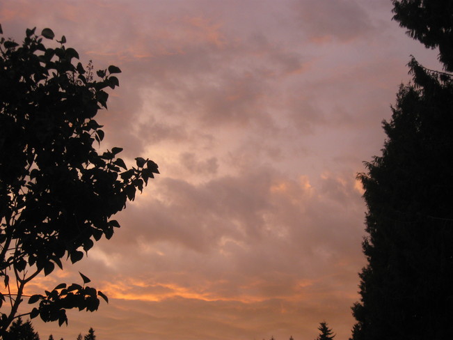 dusk Surrey, British Columbia Canada