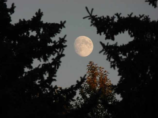 Moon with a little fall Calgary, Alberta Canada
