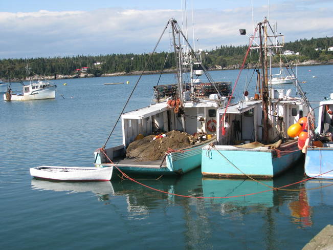 scenic view of boats Maces Bay, New Brunswick Canada