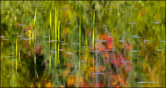 Sherriff Creek yellow trail pond reflection. Elliot Lake, Ontario Canada