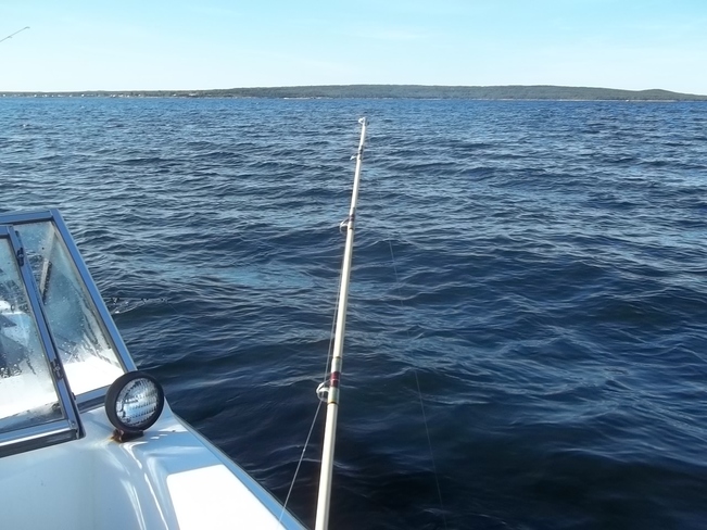 Great Day For Fishing Birchy Bay, Newfoundland and Labrador Canada