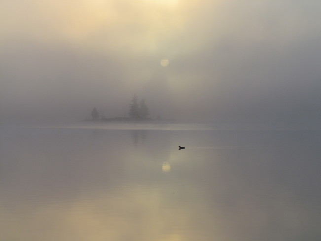 early morning fog Blenheim, Ontario Canada