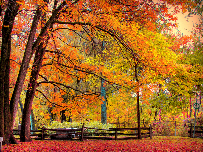 automne Beauport, Quebec Canada