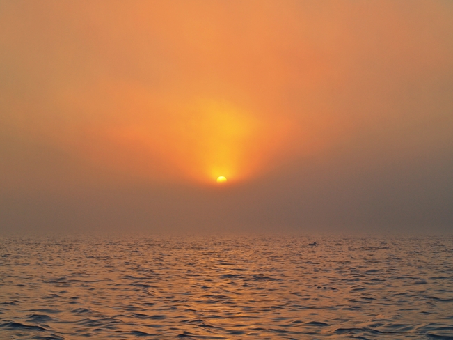 Morning fog sunrise Sarnia, Ontario Canada