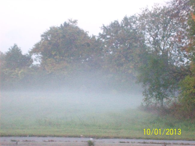Morning Mist out on a Field off Sidney street Belleville, Ontario Canada