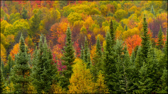 The colours are still nice behind No Frills. Elliot Lake, Ontario Canada