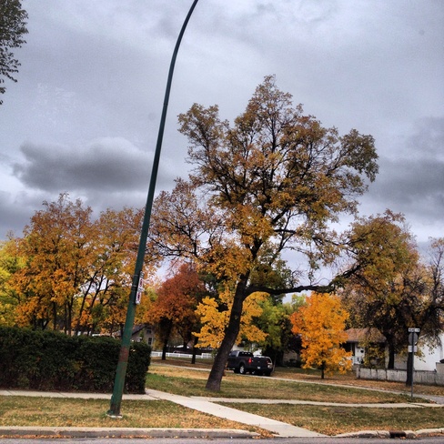 oh so fall Winnipeg, Manitoba Canada