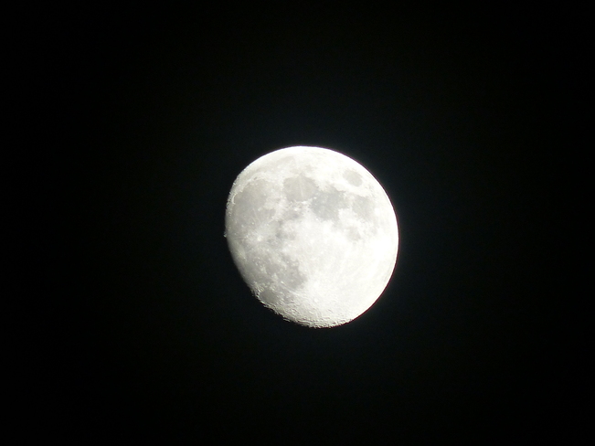 Moon Shelburne, Nova Scotia Canada