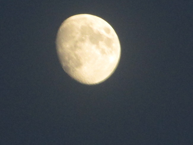 Tonight's moon Moncton, New Brunswick Canada