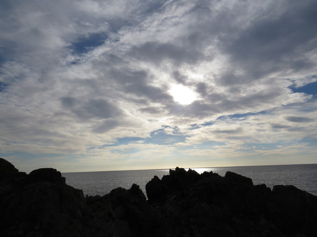 clody with sunshine Rock Harbour, Newfoundland and Labrador Canada